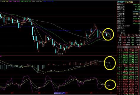 盘中分析白酒医药 技术面消息面全面分析！财富号东方财富网