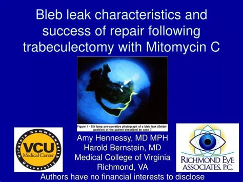 PPT Bleb Leak Characteristics And Success Of Repair Following