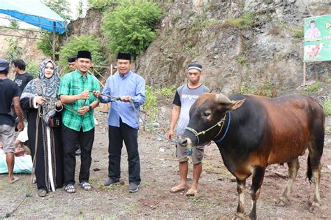 Hari Raya Idul Adha 1445 H 2024 Polres Soppeng Sembelih Sebanyak 6