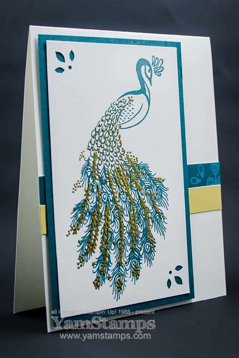 Pretty Peacock Lindas Stamping Blog Greeting Cards