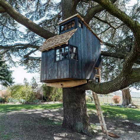 Tree House Kits The Easy Way To Build Your Own Treetop