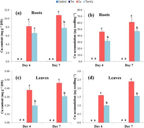 Effect Of Exogenous Trehalose On Cu Content And Accumulation In Rice