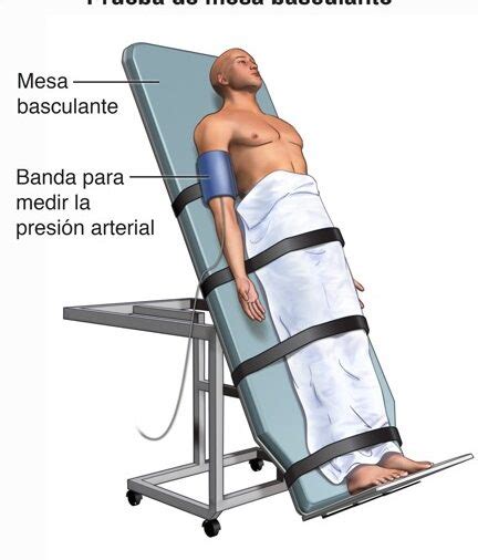 Test De Mesa Basculante