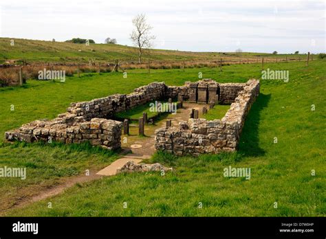 Temple Of Mithras At Carrawburgh Near Hadrian S Wall In Northern