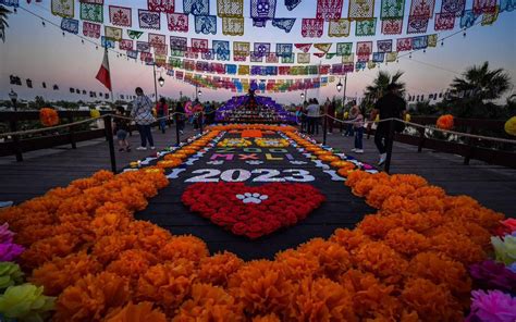 Un Gran Altar Para Las Mascotas En Mexicali La Voz De La Frontera