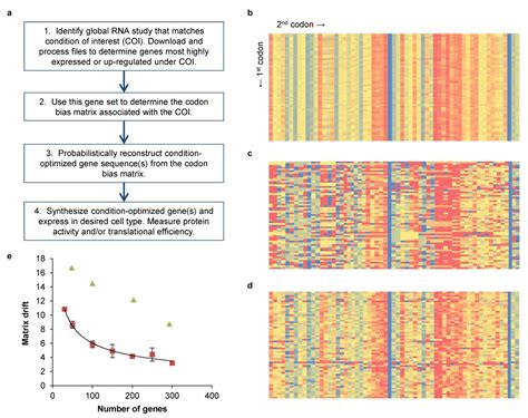 A Condition Specific Codon Optimization Approach For Improved