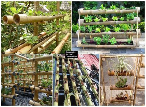 Bamboo Planters 101 The Best Thing About Bamboo Is Thats Entirely