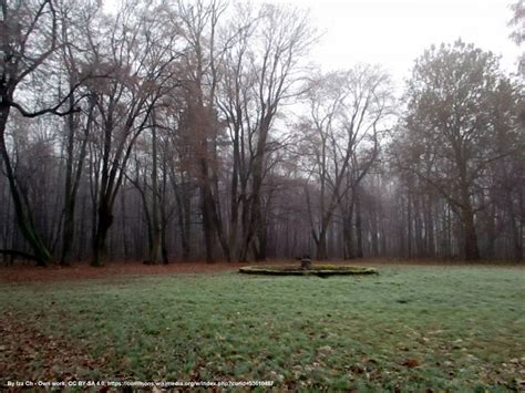 Park pałacowy w Kruszynie - Atrakcje turystyczne - Odkrywcza turystyka