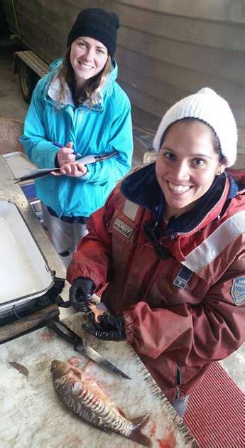 Work experience with Inland Fisheries