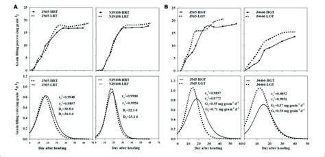 Grain Filling Process And Grain Filling Rate Of Rice Under Different