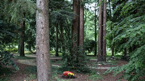 Arboretum cimetière parc paysager de Nantes Nantes nature et jardins