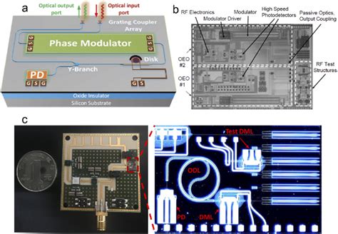 Selected Examples Of Integrated Oeos A A Silicon Integrated Oeo With