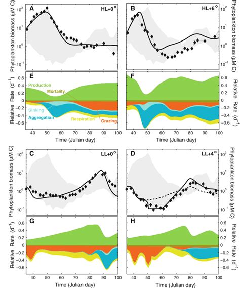 Phytoplankton Biomass Dynamics For Different Temperature And Light