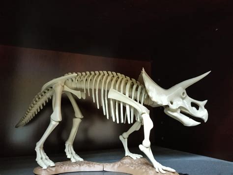 Распечатать в формате 3D работу Triceratops prorsus Skeleton Сделано