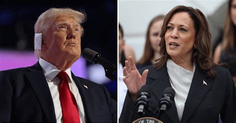 Kamala Harris News Today 2024 Elaine Carmela