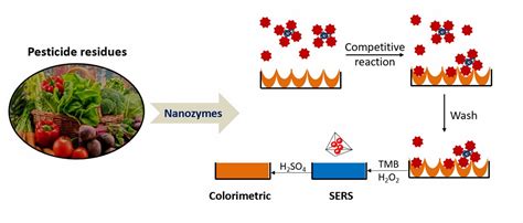 Nanozymes For Detection Of Pesticide Residues