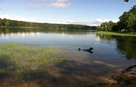 Rayburn Rv Hideout Your Place To Stay At Lake Sam Rayburn Texas