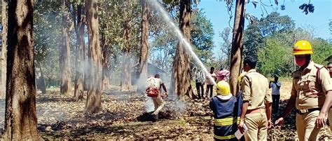 Fire Drill Demonstration Held For Forest Staff At Nagarahole Star Of