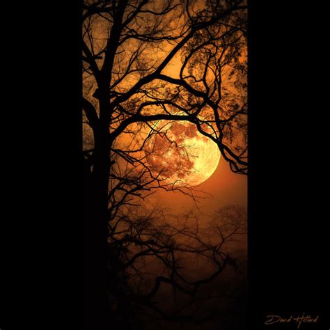 Halloween Moon by Recalibration on DeviantArt