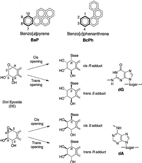 Structures Of Bap And Bcph And Their Diol Epoxide De Metabolites