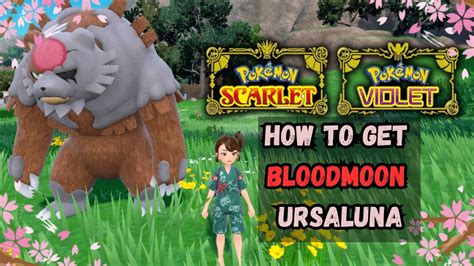 How To Get Bloodmoon Ursaluna In Pokemon Scarlet Violet DLC Part 1