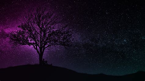 Wallpaper Trees Silhouettes Starry Sky Dark Night Hd Picture Image