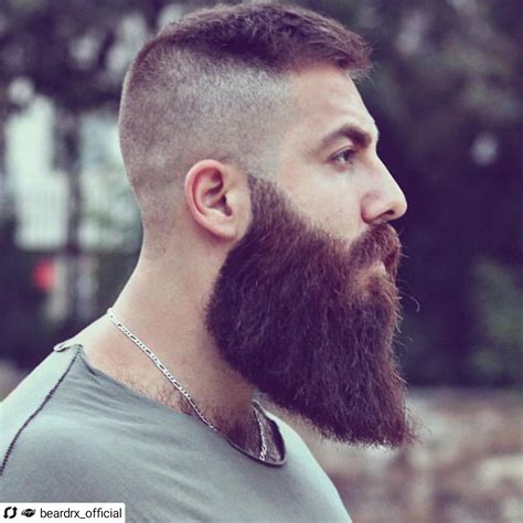 Beardy Bloke Beard Styles Hair And Beard Styles Shaved Head With Beard