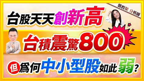 郭哲榮分析師【台股天天創新高 台積震驚800 但為何中小型股如此弱】2024 04 09 Youtube