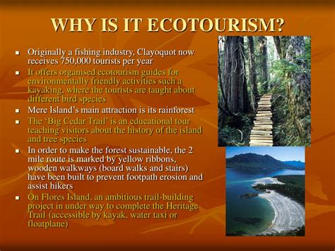 PPT - ECOTOURISM PowerPoint Presentation, free download - ID:3345900