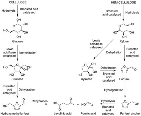 Reaction Pathways For The Conversion Of Cellulose And Hemicellulose To