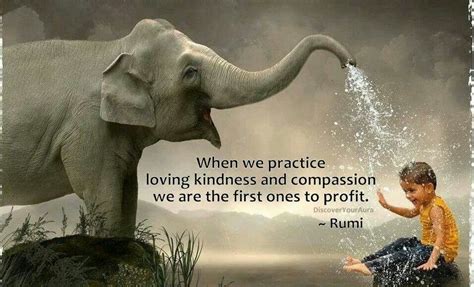 Quotes About Kindness And Compassion. QuotesGram