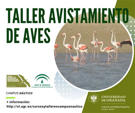 Taller Avistamiento De Aves Centro De Actividades Deportivas