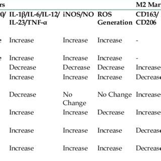 Macrophage polarization markers. Markers increase expression or ...