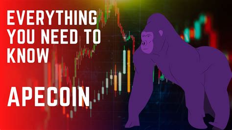 Apecoin Everything You Need To Know Bulls On Crypto Street