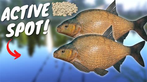 ACTIVE BREAM SPOT IN OLDBURG LAKE 464 Russian Fishing 4 YouTube