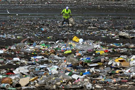 Per Great Oak Identify Plastic Pollution And Climate Change I Wash My