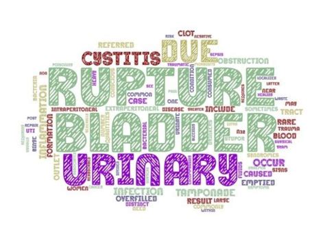 Bladder Disorder Wordcloud Background Graphic By Laurenejlevinson