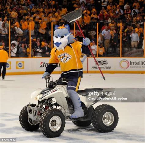 Nashville Predators Mascot Photos and Premium High Res Pictures - Getty ...