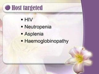 Chemoprophylaxis | PPT