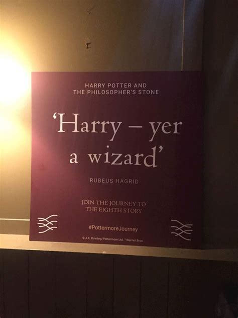 ‘Harry Potter and the Cursed Child’: A Pottermore Journey | Fandom