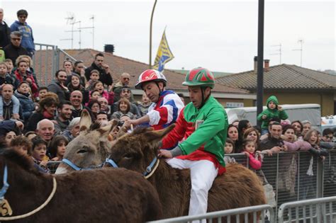 Palio Dei Somari 2019 La Valdichiana