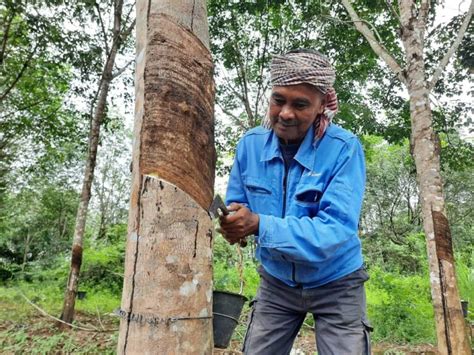 getah sintetik archives kosmo digital