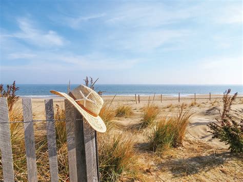 Dewey Beach and Rehoboth Beach | Delaware Beaches Visitors Guide