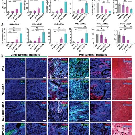 Treatment‐induced Modulation Of The Tumor Microenvironment The Kpc Download Scientific Diagram