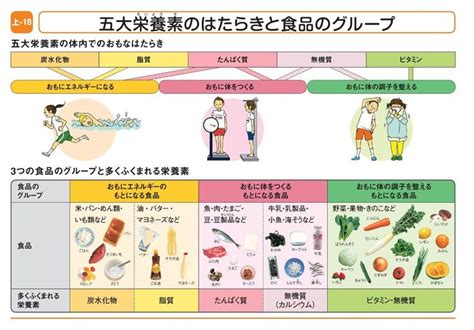 小学校家庭科教授用準拠掛図＋デジタル版開隆堂出版株式会社 栄養素 五大 教授