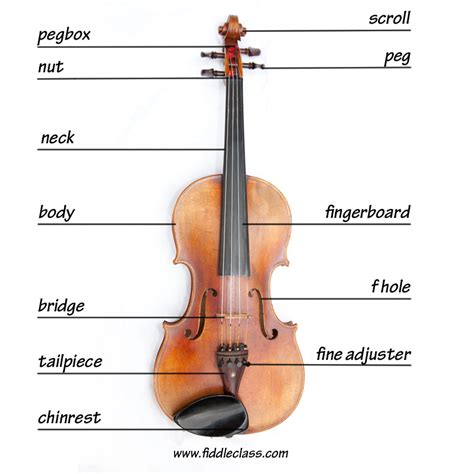 The Parts Of A Fiddle Learn Fiddle Technique