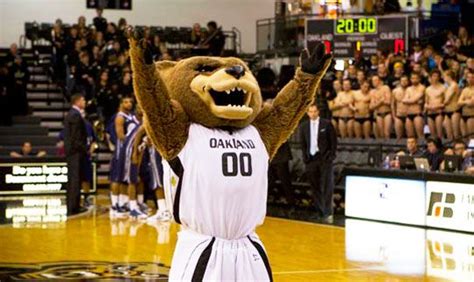 Oakland Golden Grizzlies mascot, Grizz the Grizzly Bear. | Oakland ...