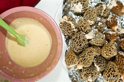 Cream Cheese Stuffed Fried Morel Mushrooms Wild Edible Recipes