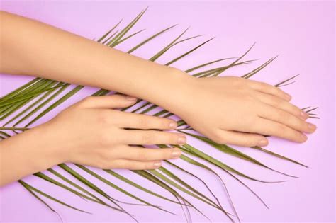 Premium Photo Close Up Of Woman Hand Holding Plant Against Gray