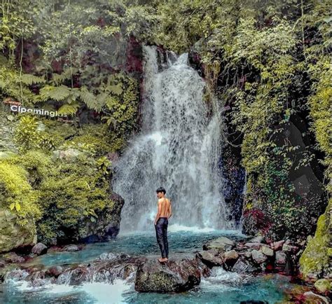 Paket Trekking Curug Cipamingkis Campa Tour And Event